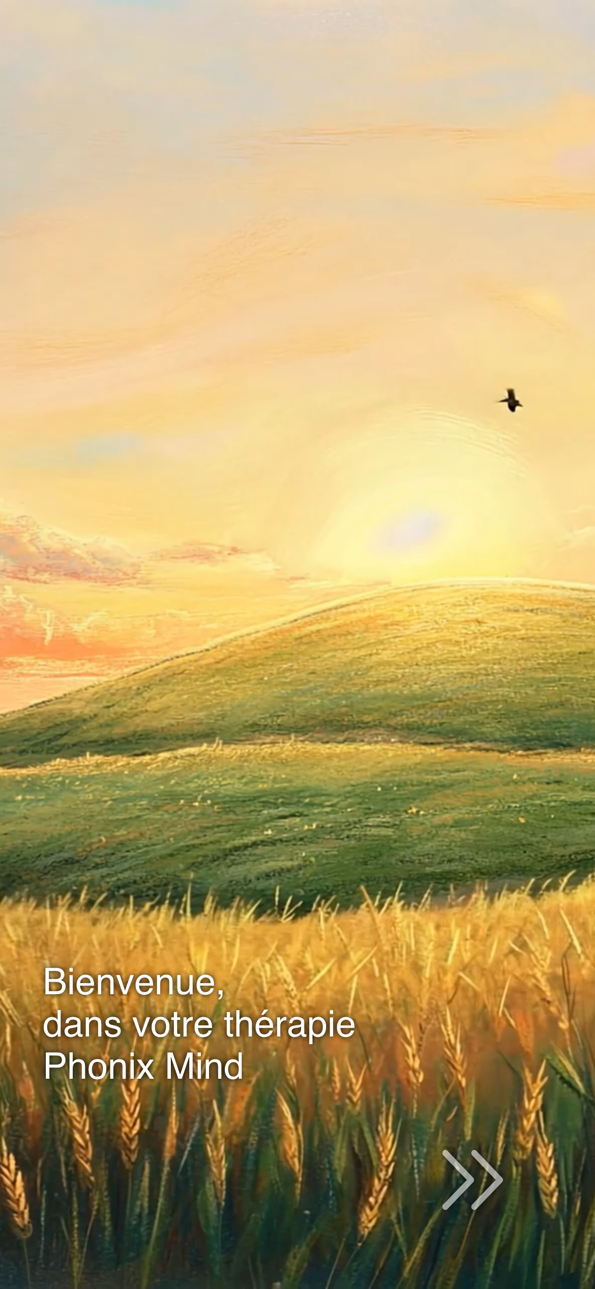 Phonix Mind Screenshot